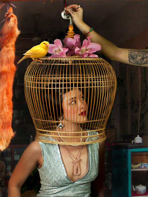 TheBirdCage500p