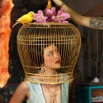 The Bird Cage